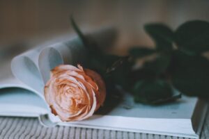 valentine day