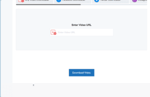 online video downloader