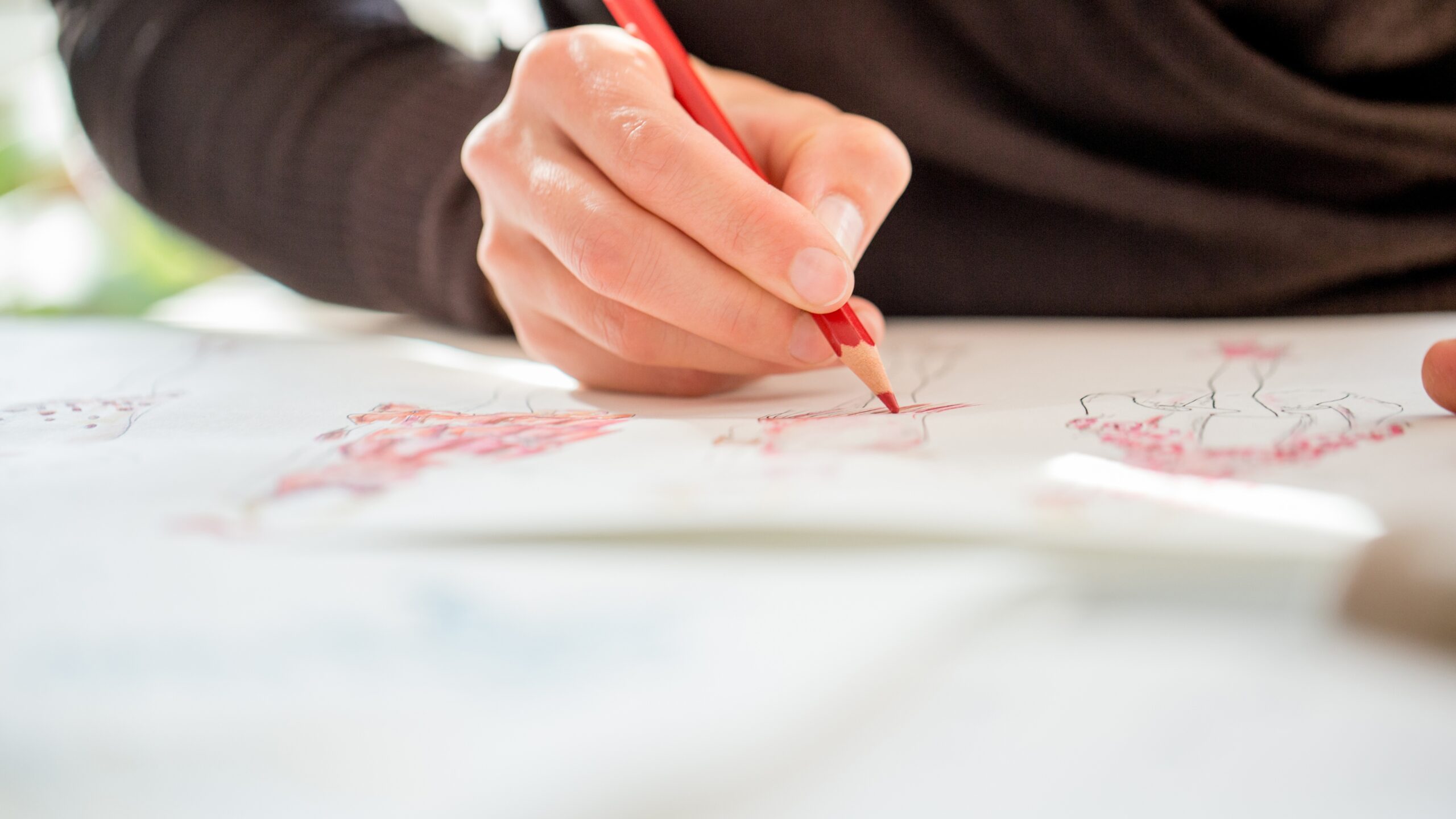 Master Canva in 10 days